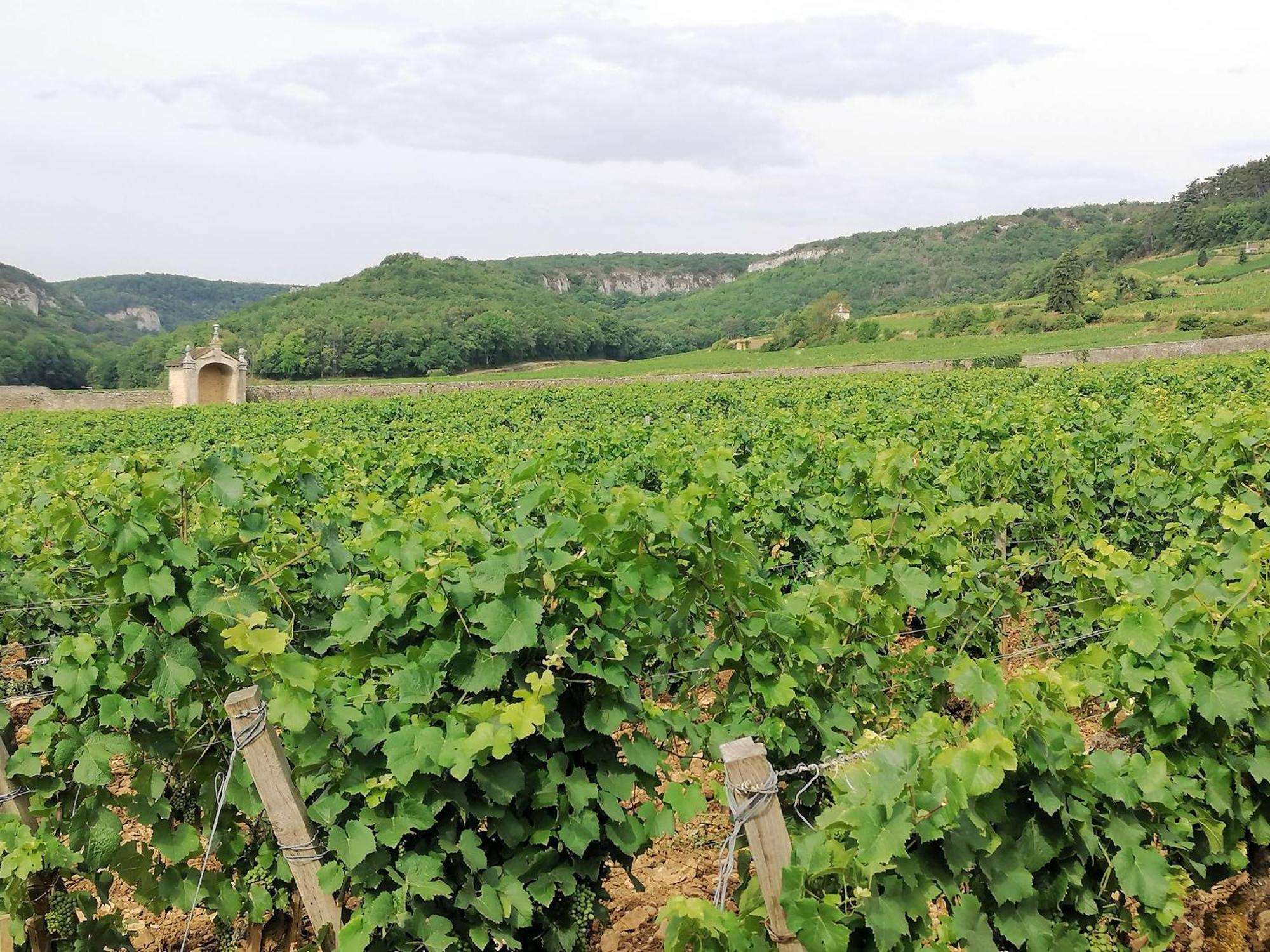 Gite Hautes Cotes De Nuits Curtil-Vergy Экстерьер фото